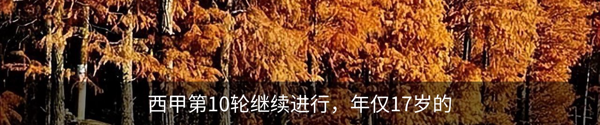 行业资讯