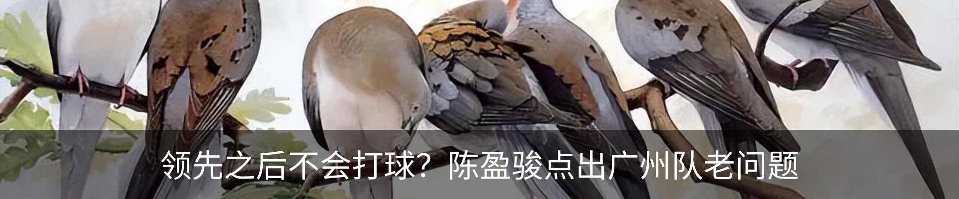 行业资讯